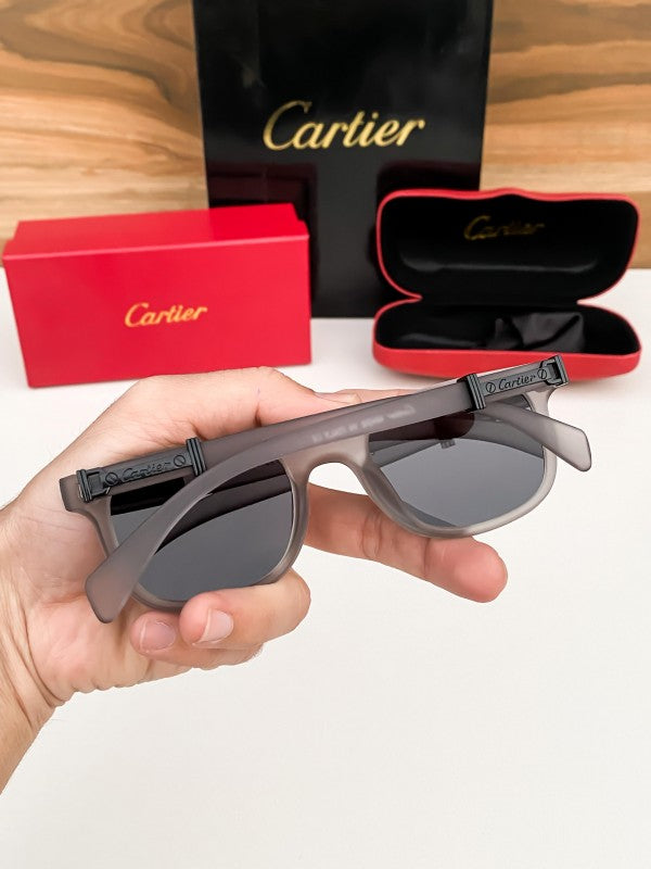 Cart_ier_grey_black_1471